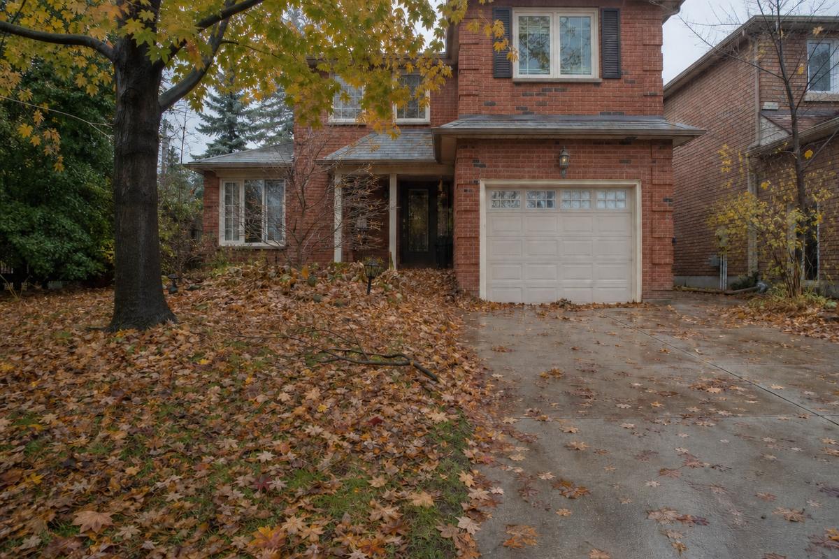 Front yard and driveway before seasonal leaf cleanup