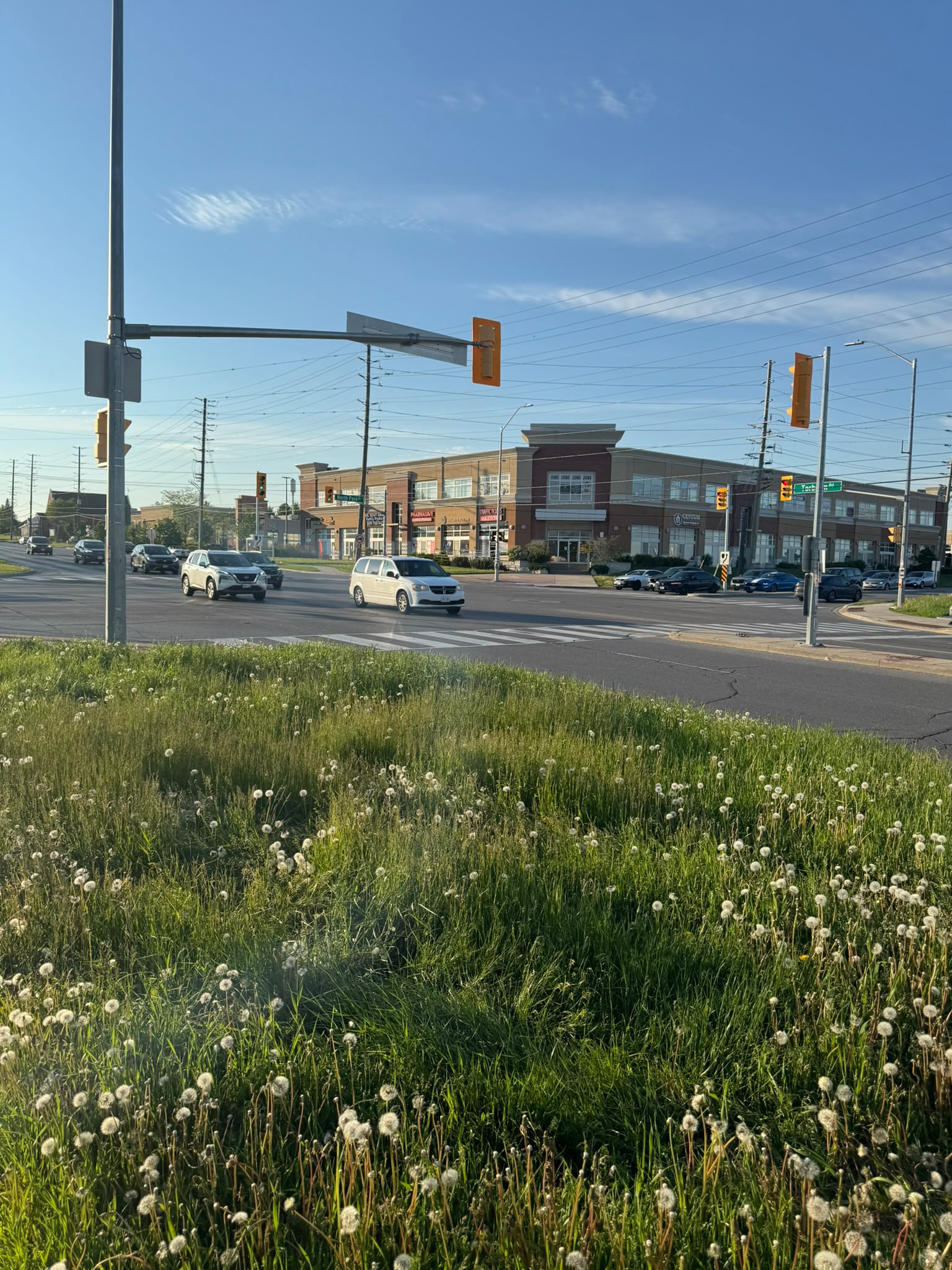 Roadside lawn edge beside a concrete sidewalk