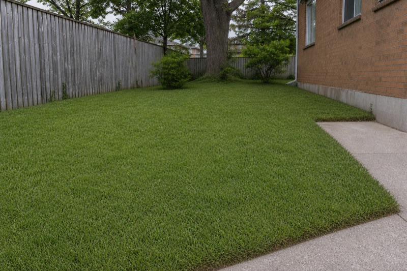 Illustrative residential lawn after mowing, shown from the same fixed camera position